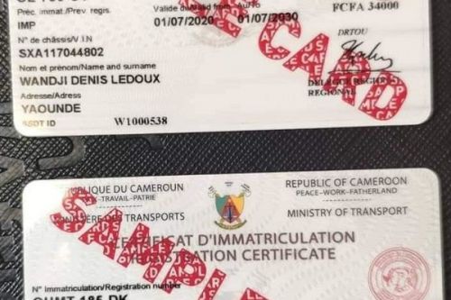 Transports : comment le Cameroun veut lutter contre les fausses cartes grises