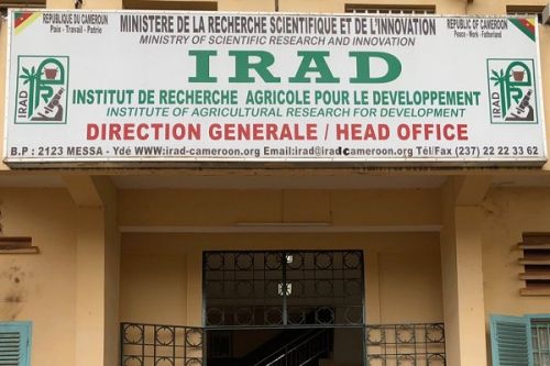 IRAD fires 11 workers for presenting fake credentials