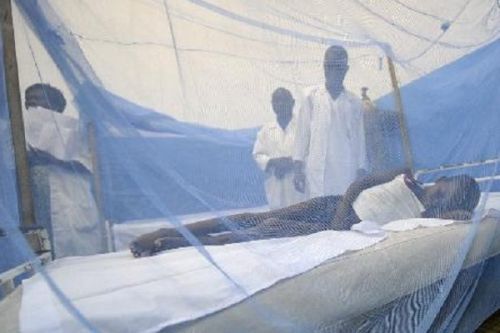 Minsanté Bets on Multi-sectoral Approach to End Malaria