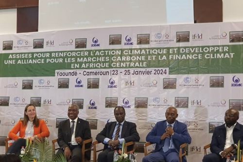 Le Cameroun veut héberger l’Alliance centre-africaine pour le marché carbone et la finance climat