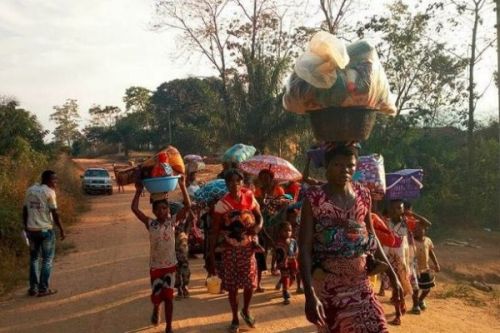 Adamaoua : comment les 5000 déplacés de la crise anglophone se débrouillent pour survivre