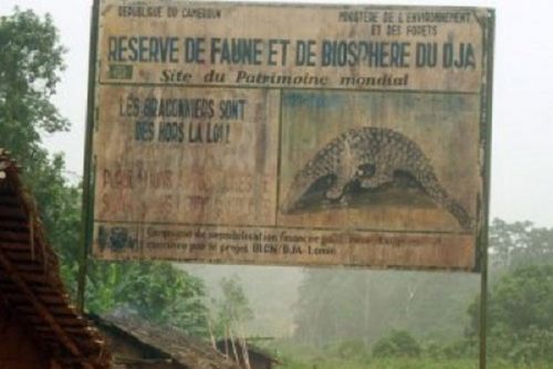 Un accord pour renforcer la préservation du patrimoine culturel du Cameroun