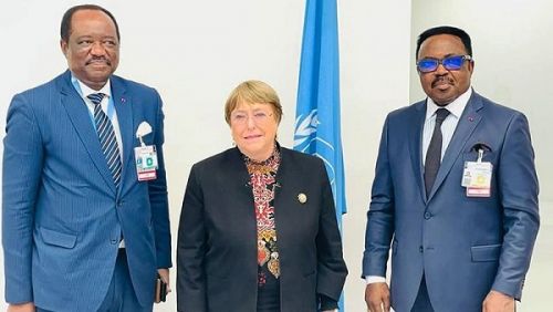 ONU : le Cameroun reconduit comme membre du Conseil des droits de l’homme pour la période 2022-2024